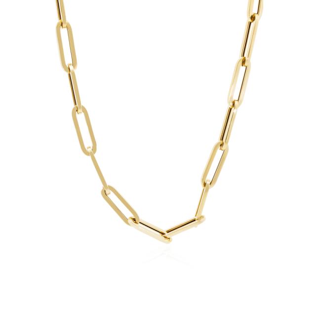 Trendy Paperclip Necklace  
