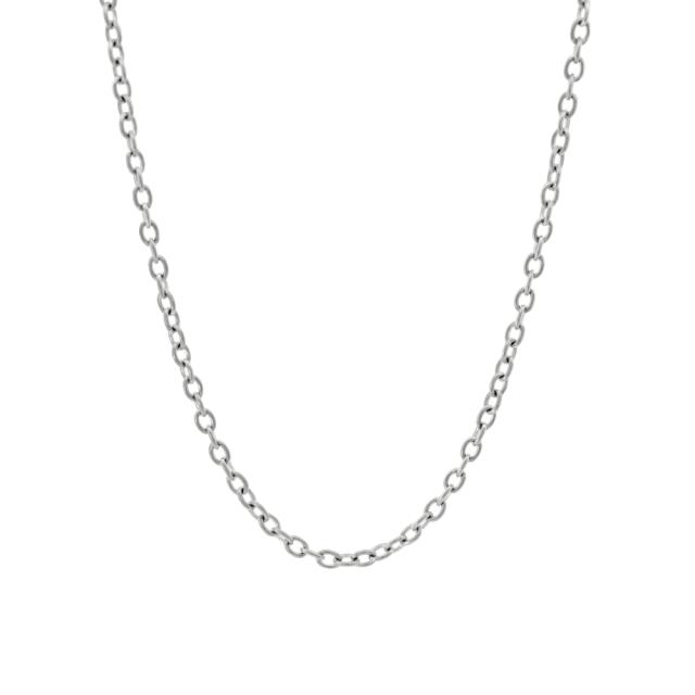Trendy Titanium/18K YG Chain 