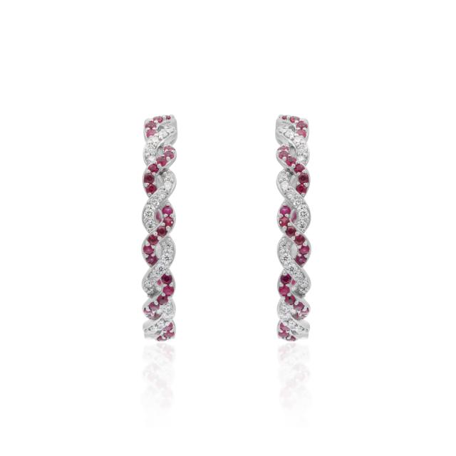 Elegant Duo Hoops  