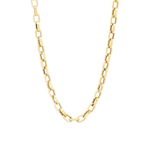 Lavish Oval Link Necklace 